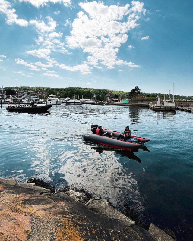 Dagens aktivitet! SPEEDCATS 🐬 här gäller det att hänga med i svängarna